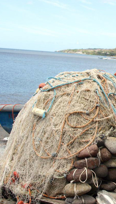 martinique-photos-economie