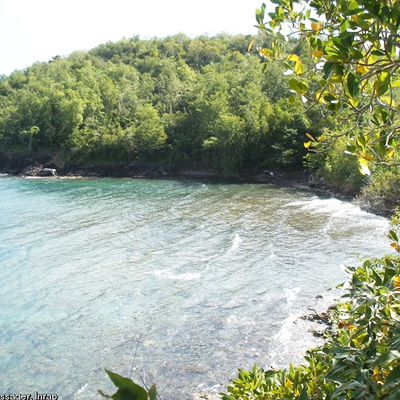 martinique-photos-plage2