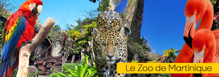 martinique-zoo